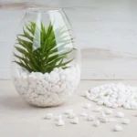 Mini White Pebble Flower Pot Decoration, Rough Natural Succulent Paving, Gardening Flowerpot, White Stone, Garden Accessories