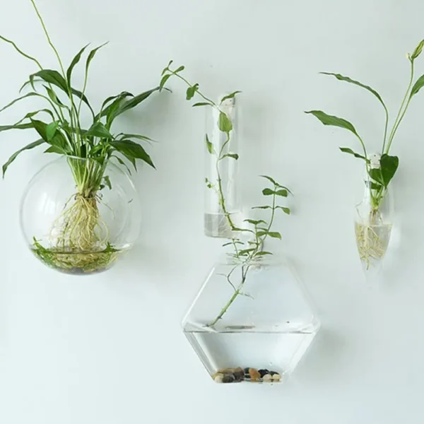 Irregular Shape Hydroponic Plants Glass Crafts Wall-mounted Fish Tank Hydroponic Vase Flower Pot Plant Container Flower Vase - Image 3