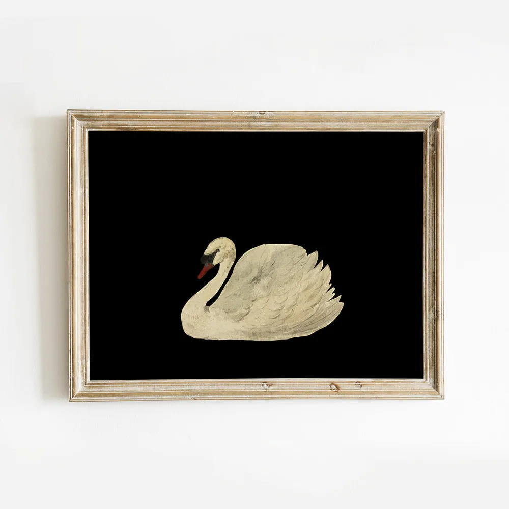 Black White Antique Swan Poster Print Canvas Painting Minimalist Vintage Wall Art Pictures for Living Room Home Decor