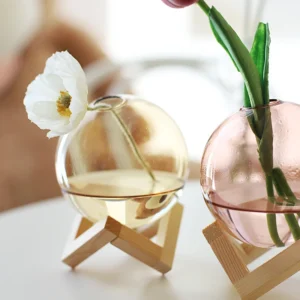 Colorful Ball Hydroponic Glass Vase With Wooden Stand Small Ball Transparent Fish Tank Mount Glass Vases Landscape Elegant Decor - Image 6