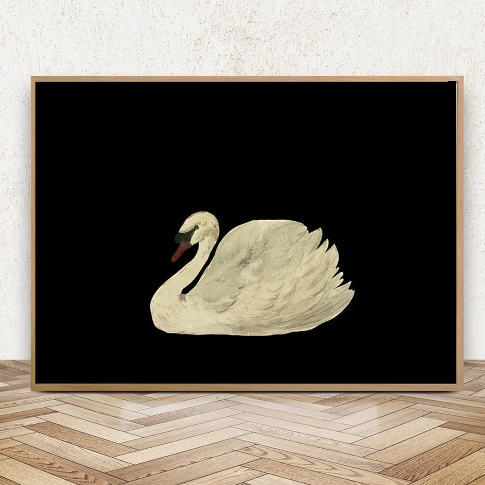 Black White Antique Swan Poster Print Canvas Painting Minimalist Vintage Wall Art Pictures for Living Room Home Decor - Image 4