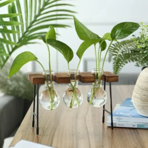 Creative Wooden Frame Hydroponic Plant Container Glass Bulb Vase Home Tabletop Decor Vases Beaker Glass Planter Bonsai - Image 6