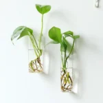 Fashion Wall Hanging Glass Flower Vase Terrarium Wall Fish Tank Aquarium Container Flower Planter Pots Home Garden Decoration
