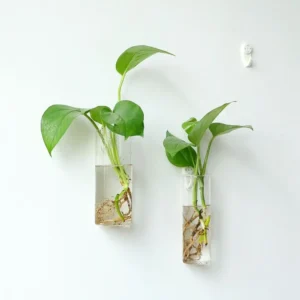 Fashion Wall Hanging Glass Flower Vase Terrarium Wall Fish Tank Aquarium Container Flower Planter Pots Home Garden Decoration - Image 2