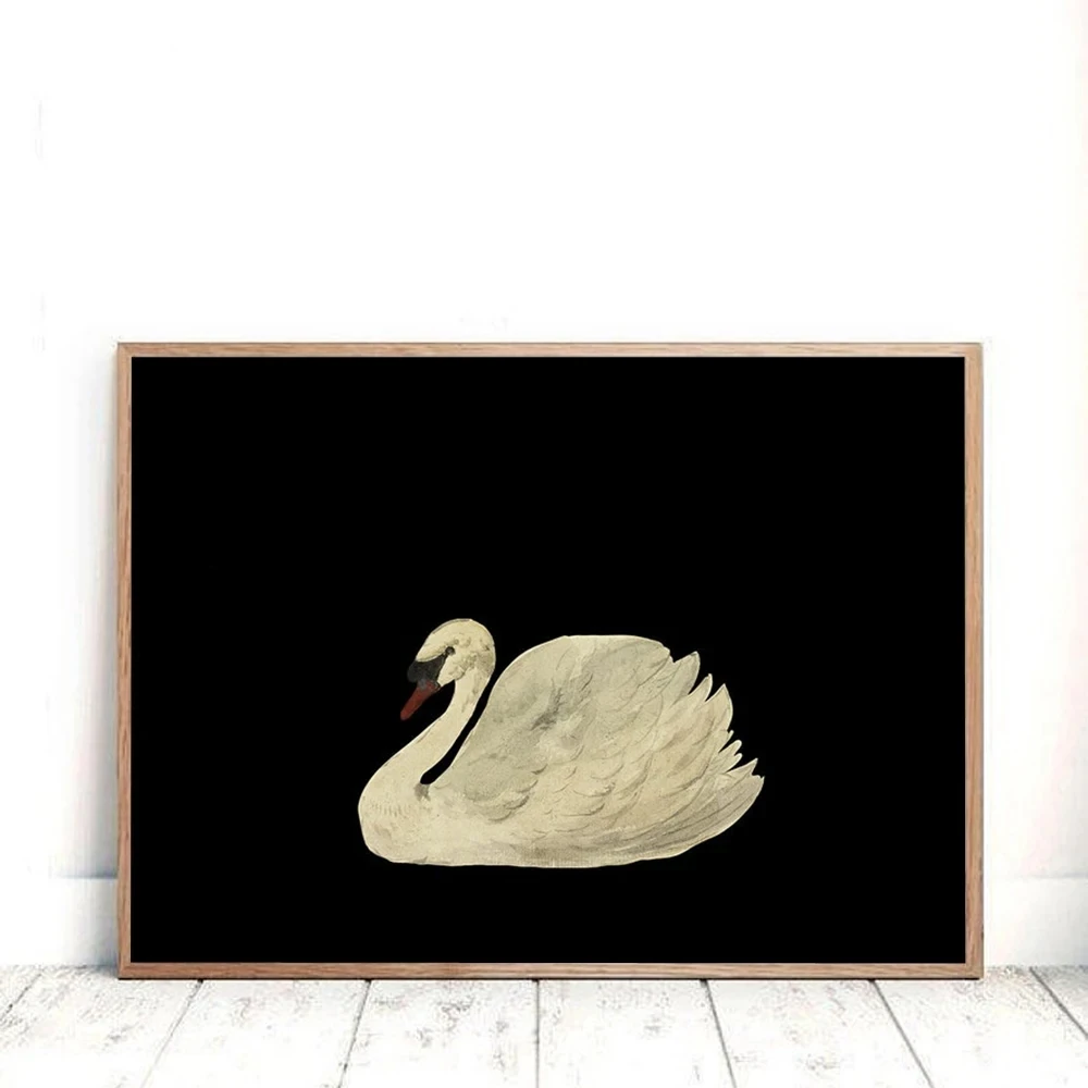 Black White Antique Swan Poster Print Canvas Painting Minimalist Vintage Wall Art Pictures for Living Room Home Decor - Image 2