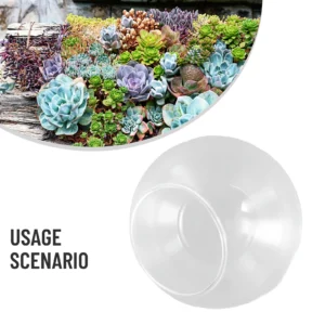 8/10/12cm Micro Landscape Glass Vase Succulent Plant Terrarium Container Flower Pot Vase Mini Landscape Transparent Glass Vase - Image 2