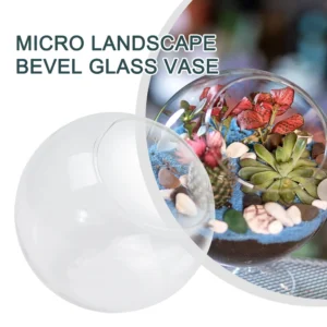 8/10/12cm Micro Landscape Glass Vase Succulent Plant Terrarium Container Flower Pot Vase Mini Landscape Transparent Glass Vase - Image 5