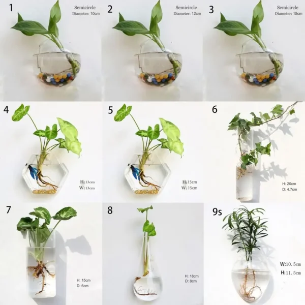 Irregular Shape Hydroponic Plants Glass Crafts Wall-mounted Fish Tank Hydroponic Vase Flower Pot Plant Container Flower Vase - Image 6