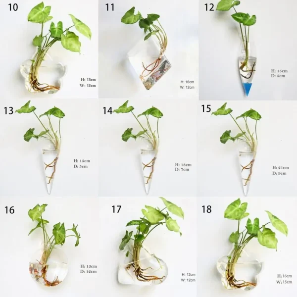 Irregular Shape Hydroponic Plants Glass Crafts Wall-mounted Fish Tank Hydroponic Vase Flower Pot Plant Container Flower Vase - Image 4