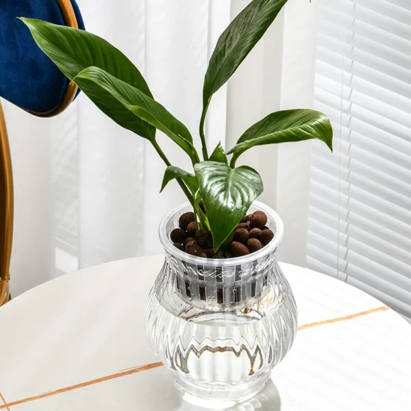 Mini Hydroponic Flower Pot Fish Tank Transparent Plastic Soilless Plant Pots Self Watering Planter Pot Vase for Home Decoration - Image 6
